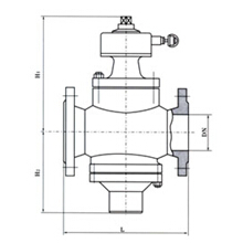 ZL47F-1016ʽƷṹͼ.jpg